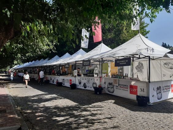 Sewa Tenda Event Jogja untuk Acara Apa Saja? Ketahui 7 Daftarnya!