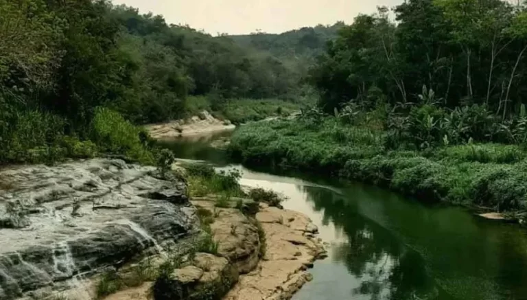 Hutan Wanagama