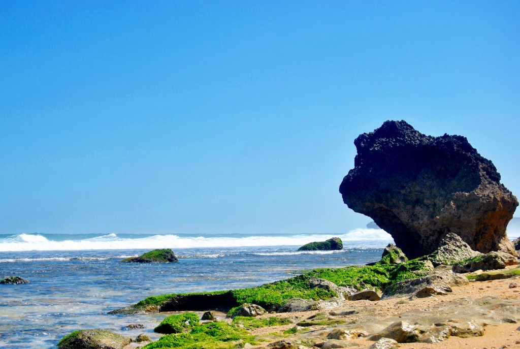 Pantai Watulawang Gunungkidul Bersih Dan Eksotik